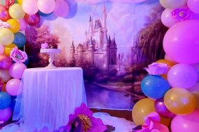 Magnificent Moments Princess Parties Profile 1