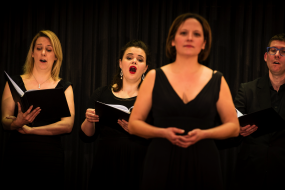 The Professional Voices Choirs For Hire Profile 1