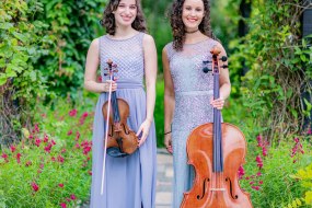 String Musicians London String Quartet Hire Profile 1