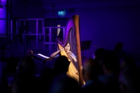 Annika.C.Harp Classical Musician Hire Profile 1
