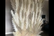 BellaRose Creations