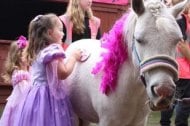 GGT Pony Partys undefined Profile 1
