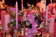 Papillon Events undefined Profile 1