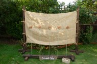 Ivy and Oak Event Hire undefined Profile 1