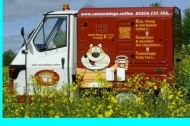 The Cats & Dogs Cafe