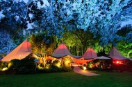 The Stunning Tents Company undefined Profile 1