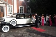 2XL Limos undefined Profile 1