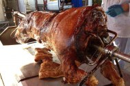 Glorious Pigs undefined Profile 1