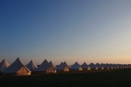 Pillow Festivals and Events