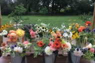Beehaven Flowers undefined Profile 1