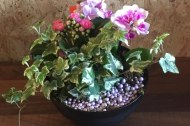 Rosie’s Flowers undefined Profile 1