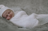 Morgan’s milestones photography undefined Profile 1
