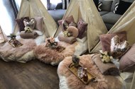 A Tipi Night’s Dream undefined Profile 1
