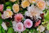 Georgia's Gorgeous flowers undefined Profile 1