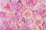 Luxury flower Walls undefined Profile 1