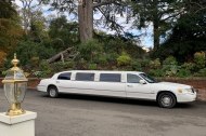 All-star Limos