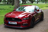 Shabang Car Hire undefined Profile 1