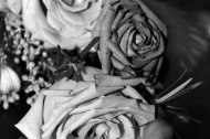 Eternalshots Photography Ltd undefined Profile 1