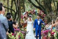 Lush Weddings & Events undefined Profile 1