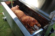 Kent Piggy Roast undefined Profile 1