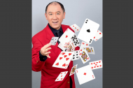 Alan Vandome - Magician