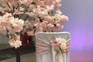 ExtravOrganza undefined Profile 1