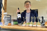 Vine-yl Wines