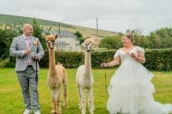 Tam's Photography
