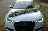 Million Cars Limited undefined Profile 1