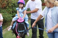 Yorkshire's Party Ponies