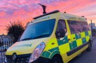 In-Pulse/Sussex Ambulance undefined Profile 1