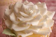 Wedding cupcakes with intricate sugar rose toppers