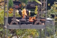 Firedogs Grill undefined Profile 1
