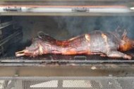 Hog Bites undefined Profile 1