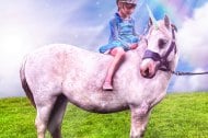 PS Ponies undefined Profile 1