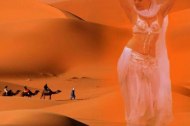 Belly Dance South