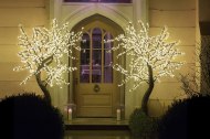 Twilight Trees, The LED Tree Company