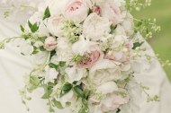 Foxgloves and Roses undefined Profile 1
