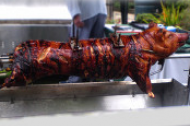 Hoggie Hoggie Hogroast