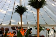 Lewis Marquees