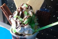 Ryans Ice Cream
