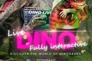 Dino Live Wiltshire and Somerset undefined Profile 1