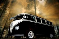 Direct Minibuses undefined Profile 1