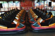 Dodgems Direct undefined Profile 1