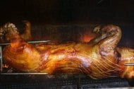 Hogster Hog Roasts undefined Profile 1