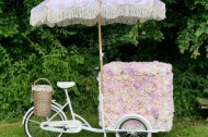 Rose Ice Cream Bike undefined Profile 1