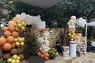 Fairy Baby Party Design