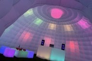 Disco Tents undefined Profile 1