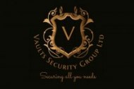 Vaults Security undefined Profile 1