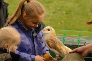 Fixter's Falconry undefined Profile 1